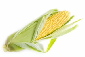 Photo of fresh corn cob